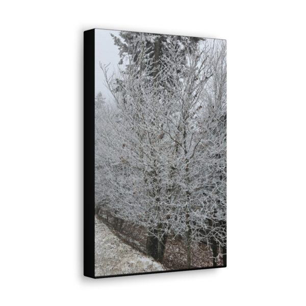 Iced Over Trees Wall Decor | Icy Trees | Ice Covered Trees | Wall Art | Art Poster Art Print - Image 2