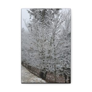 Iced Over Trees Wall Decor | Icy Trees | Ice Covered Trees | Wall Art | Art Poster Art Print