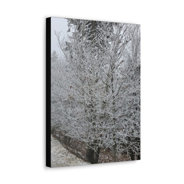 Iced Over Trees Wall Decor | Icy Trees | Ice Covered Trees | Wall Art | Art Poster Art Print - Image 6