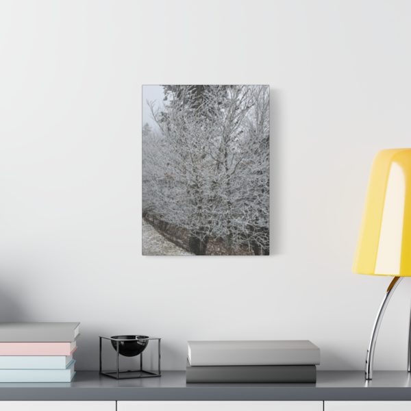 Iced Over Trees Wall Decor | Icy Trees | Ice Covered Trees | Wall Art | Art Poster Art Print - Image 7