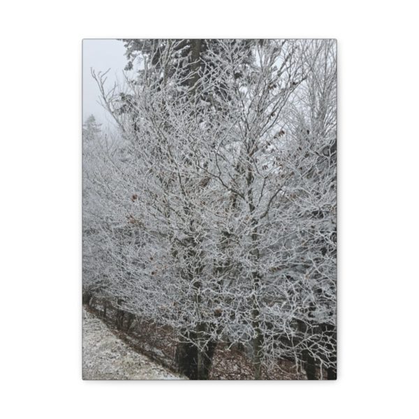 Iced Over Trees Wall Decor | Icy Trees | Ice Covered Trees | Wall Art | Art Poster Art Print - Image 5