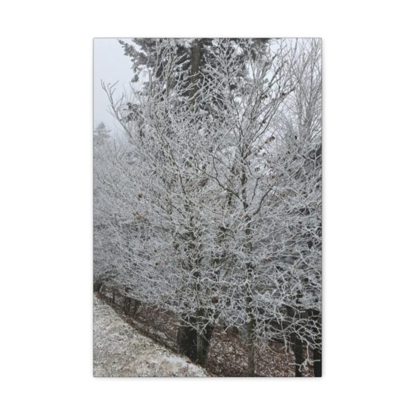Iced Over Trees Wall Decor | Icy Trees | Ice Covered Trees | Wall Art | Art Poster Art Print - Image 9