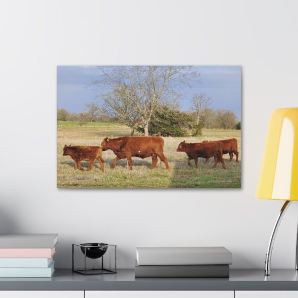Cattle Canvas | Wall Decor Wall Art | Cow Canvas Cow Art - Image 3