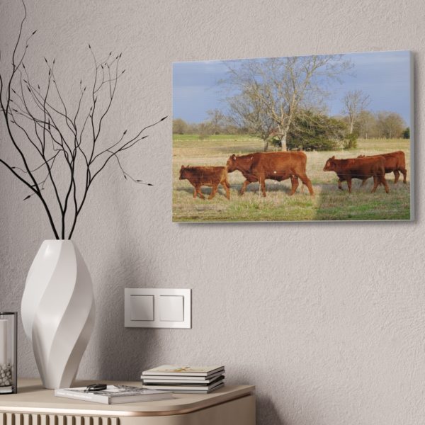 Cattle Canvas | Wall Decor Wall Art | Cow Canvas Cow Art - Image 4
