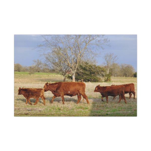 Cattle Canvas | Wall Decor Wall Art | Cow Canvas Cow Art - Image 6