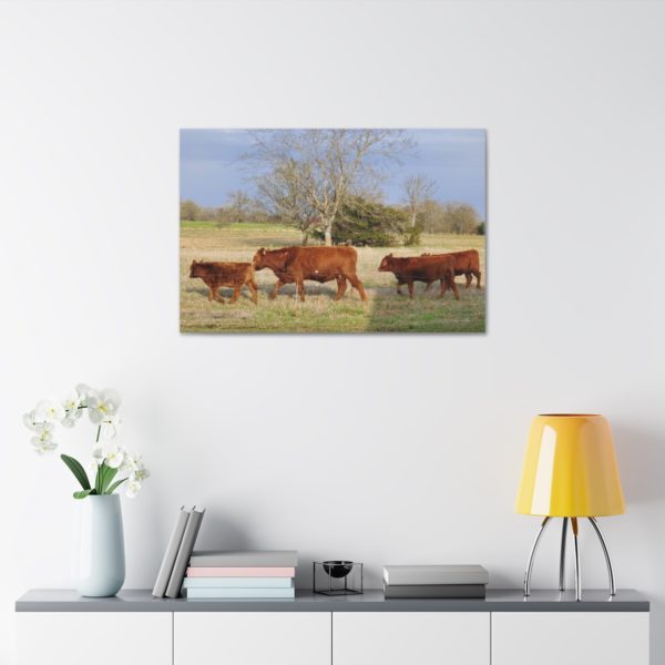 Cattle Canvas | Wall Decor Wall Art | Cow Canvas Cow Art - Image 7