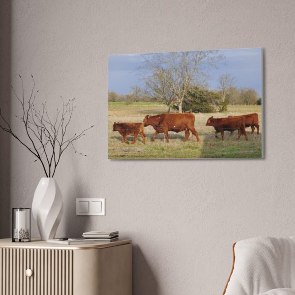 Cattle Canvas | Wall Decor Wall Art | Cow Canvas Cow Art - Image 8