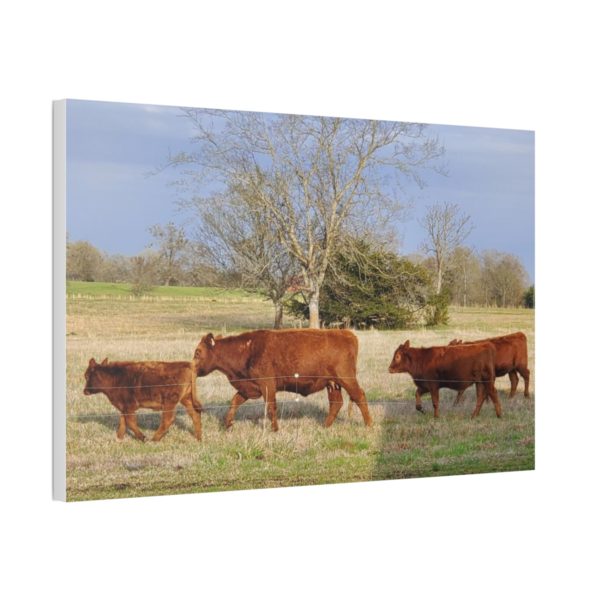 Cattle Canvas | Wall Decor Wall Art | Cow Canvas Cow Art - Image 5